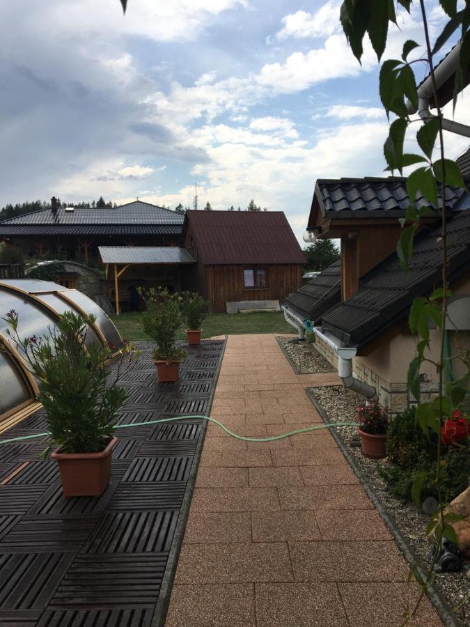 Vila V Jesenikach Bridlicna Экстерьер фото